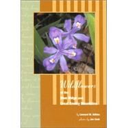 Wildflowers of Blue Ridge and Great Smoky Mountains by Adkins, Leonard; Cook, Joe, 9780897325677