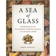 A Sea of Glass by Harvell, Drew; Greene, Harry W., 9780520285682
