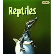 Reptiles/ Reptiles by Theodorou, Rod, 9781432905682