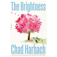 The Brightness A Novel by Harbach, Chad, 9780316455695