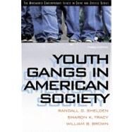 Youth Gangs in American Society by Shelden, Randall G.; Tracy, Sharon K.; Brown, William B., 9780534615697