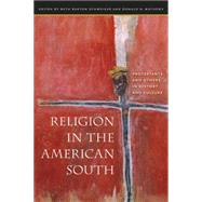 Religion in the American South by Schweiger, Beth Barton; Mathews, Donald G., 9780807855706