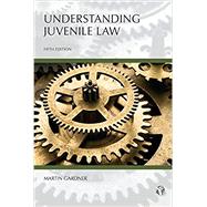 Understanding Juvenile Law by Gardner, Martin, 9781531005719