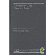 Concepts of Class in Ancient Israel by Sneed, Mark R., 9780788505720