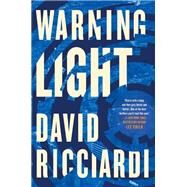Warning Light by Ricciardi, David, 9780399585739
