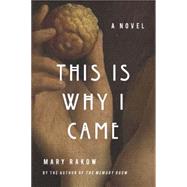 This is Why I Came A Novel by Rakow, Mary, 9781619025752