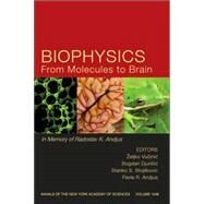 Biophysics From Molecules to Brain In Memory of Radolslav K. Andjus, Volume 1048 by Vucinic, Zeljko; Djuricic, Bogdan; Stojilkovic, Stanko; Andjus, Pavle R., 9781573315753