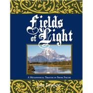 Fields of Light A Metaphysical Treatise in Prose Poetry by Lambert, John, 9781098335755