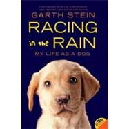 Racing in the Rain by Stein, Garth, 9780062015761