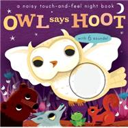 Noisy Touch and Feel: Owl Says Hoot by Walden, Libby; Enright, Amanda, 9781626865761