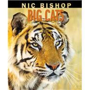 Big Cats by Bishop, Nic, 9780545605779