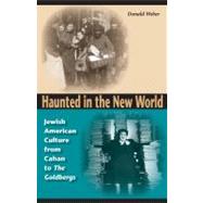Haunted In The New World by Weber, Donald, 9780253345790