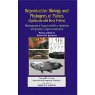 Reproductive Biology and Phylogeny of Fishes (Agnathans and Bony Fishes): Phylogeny, Reproductive System, Viviparity, Spermatozoa by Jamieson,Barrie G M, 9781578085804