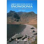 Great Mountain Days in Snowdonia 40 classic routes Exploring Snowdonia by Marsh, Terry, 9781852845810