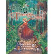 The Adventures of Princess Jordan 2 by Asbroek, Karen; Paradero, Shannen Marie, 9781543405811