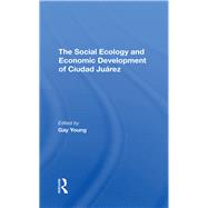 The Social Ecology And Economic Development Of Ciudad Juarez by Young, Gay; Schmidt, Robert H.; Martinez, Oscar J.; Staudt, Kathleen A., 9780367295820