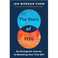 The Story of You by Ian Morgan Cron, 9780062825827