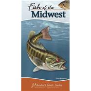 Fish of the Midwest by Bosanko, Dave, 9781591935834