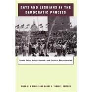 Gays and Lesbians in the Democratic Process: Public Policy, Public Opinion, and Political Representation by Riggle, Ellen D. B., 9780231115858