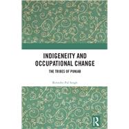Indigeneity and Occupational Change by Singh, Birinder Pal, 9780367335861