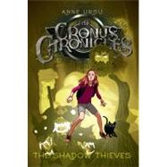 The Shadow Thieves by Ursu, Anne; Fortune, Eric, 9781416905882