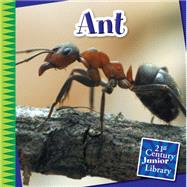 Ant by Gray, Susan Heinrichs, 9781633625884