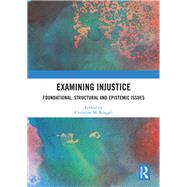 Injustice Theory: Foundational, Structural and Epistemic Issues by Koggel; Christine M., 9781138625891