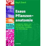 Esaus Pflanzenanatomie/ Plant Anatomy by Esau, Katherine, 9783110205923