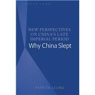 New Perspectives on Chinas Late Imperial Period by Leung, Patrick, 9781433165931