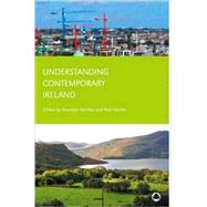Understanding Contemporary Ireland by Bartley, Brendan; Kitchin, Rob, 9780745325941