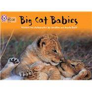 Big Cat Babies by Scott, Angela; Scott, Jonathan; Moon, Cliff, 9780007185948