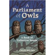 A Parliament of Owls A Book of Collective Nouns by Rhodes, Chloe, 9781789295955