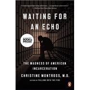 Waiting for an Echo by Montross, Christine, 9781594205972