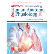 Mader's Understanding Human Anatomy & Physiology by Longenbaker, Susannah Nelson, 9781260565997