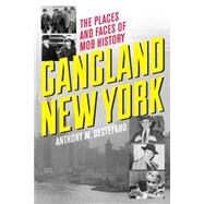 Gangland New York The Places and Faces of Mob History by DeStefano, Anthony M., 9781493006007