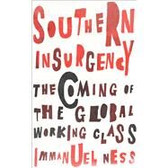 Southern Insurgency by Ness, Immanuel, 9780745336008