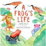 A Frog's Life by Kelly, Irene; Borin, Margherita, 9780823426010