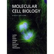 Molecular Cell Biology by Lodish, Harvey; Berk, Arnold; Kaiser, Chris A.; Krieger, Monty; Scott, Matthew P.; Bretscher, Anthony; Ploegh, Hidde; Matsudaira, Paul, 9780716776017