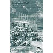 Endocrine Disrupters in Wastewater and Sludge Treatment Processes by Birkett; Jason W., 9781566706018