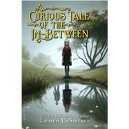 A Curious Tale of the In-Between by DeStefano, Lauren, 9781619636026