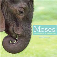 Moses The True Story of an Elephant Baby by Perepeczko, Jenny; Perepeczko, Jenny, 9781442496033