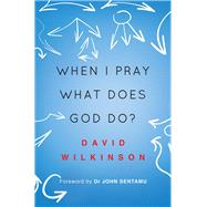 When I Pray, What Does God Do? by Wilkinson, David, 9780857216045
