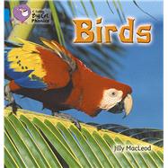 Birds Blue / Band 4 by Mcleod, Jilly, 9780007236046