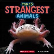 Top Ten Strangest Animals (Wild World) by Maloney, Brenna, 9781546136057
