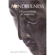 Mindfulness by Goldstein, Joseph, 9781622036059