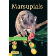 Marsupials by Armati, Patricia J.; Dickman, Chris R.; Hume, Ian D., 9781107406070