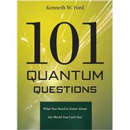 101 Quantum Questions by Ford, Kenneth W., 9780674066076