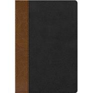 RVR 1960 Biblia de Estudio Arcoiris, tostado/negro símil piel con índice by Unknown, 9781087706078