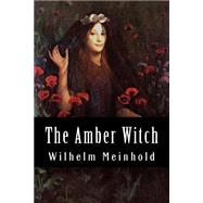 The Amber Witch by Meinhold, Wilhelm; Gordon, Lucy Duff, 9781502516091