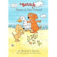 Brandy Meets a New Friend by Nelson, Melody J.; Sumrell, David K., 9781589096103
